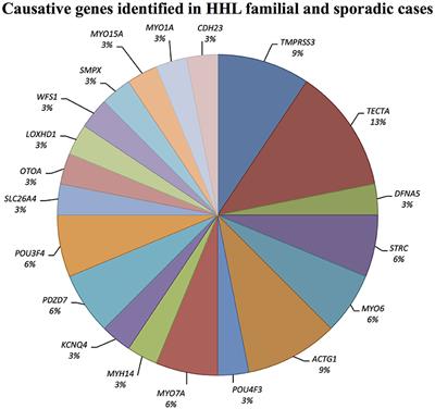 Genomic Studies in a Large Cohort of Hearing Impaired Italian Patients Revealed Several New Alleles, a Rare Case of Uniparental Disomy (UPD) and the Importance to Search for Copy Number Variations